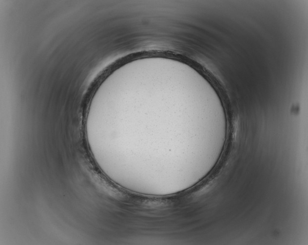 X0000113221021200910081336