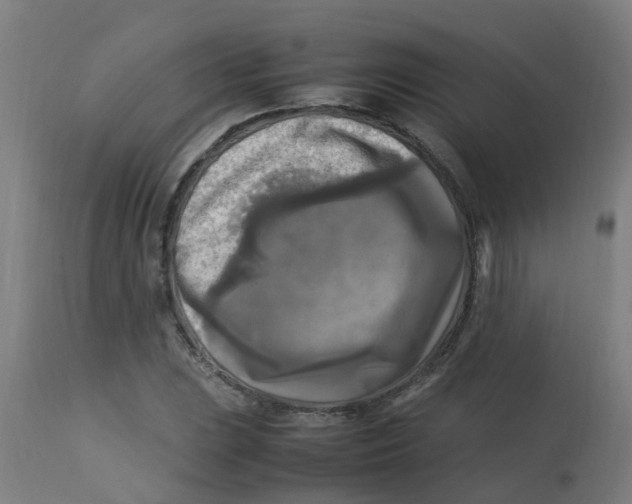 X0000113221023200910081336