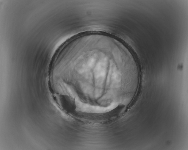 X0000113221024200910081336