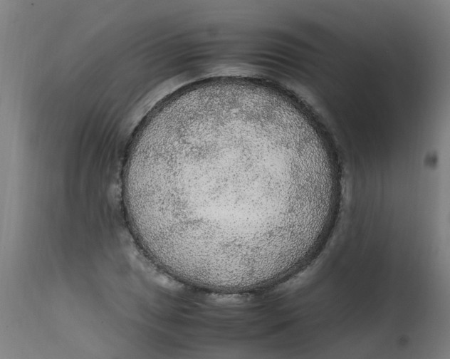 X0000113221025200910081336