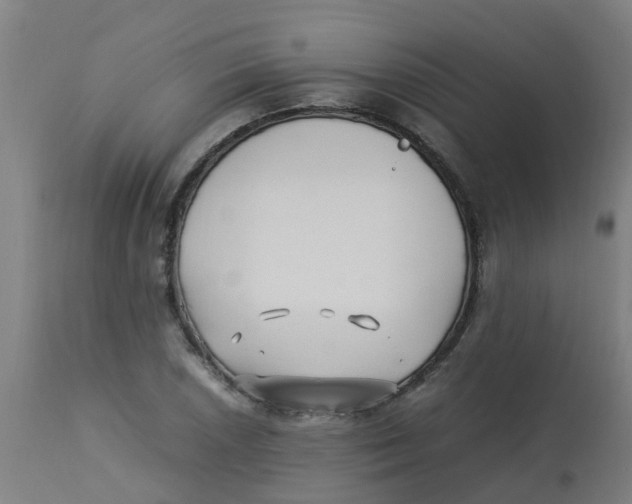 X0000113221026200910081336