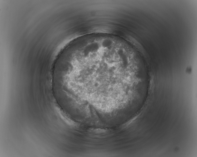 X0000113221027200910081336