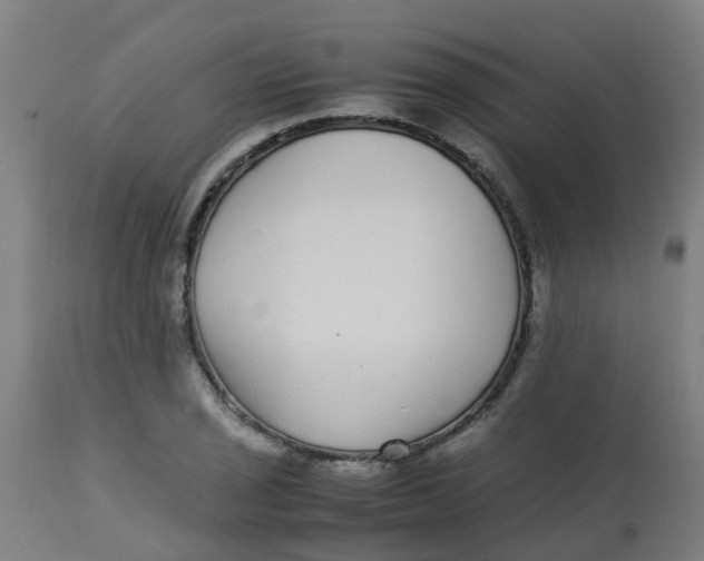 X0000113221029200910081336