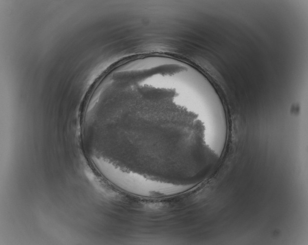X0000113221031200910081336