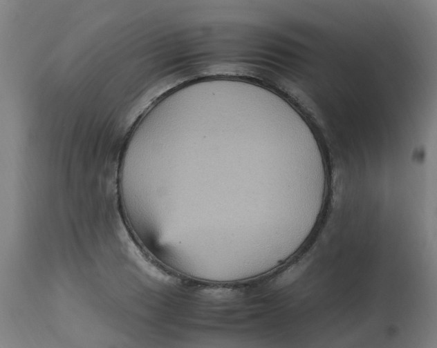 X0000113221033200910081336