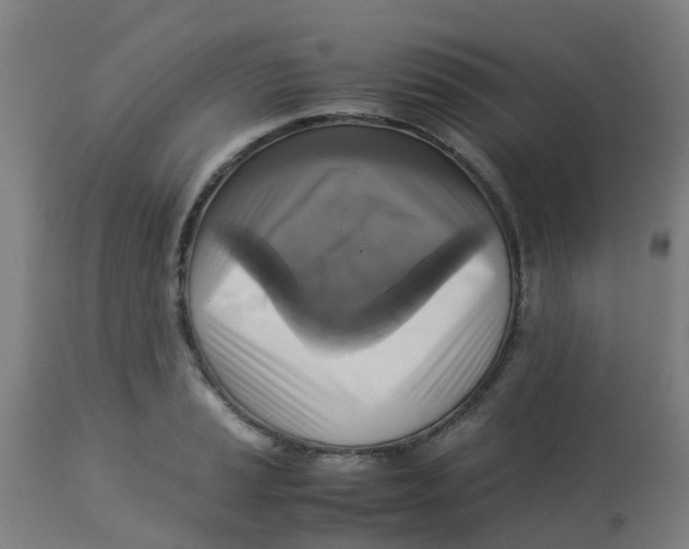 X0000113221037200910081336