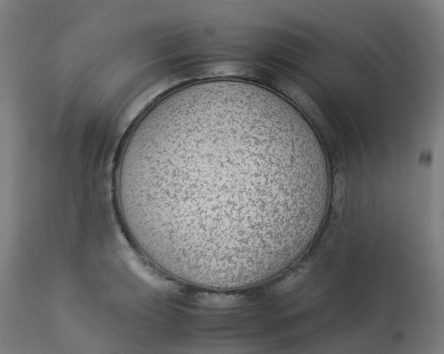 X0000113221039200910081336