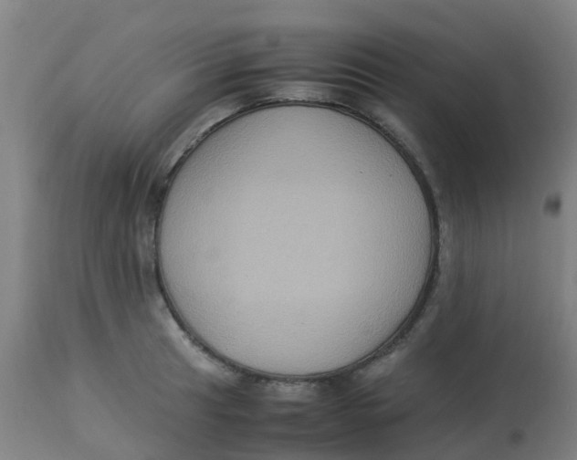 X0000113221041200910081336