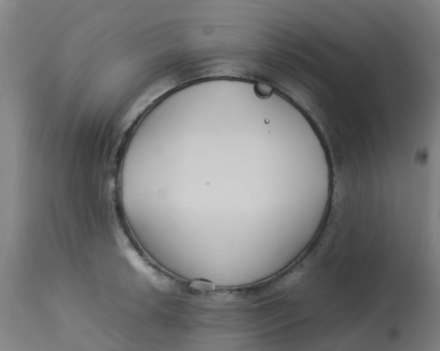 X0000113221042200910081336