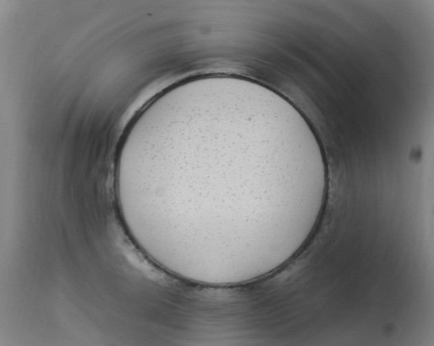 X0000113221044200910081336