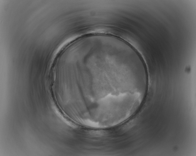 X0000113221045200910081336