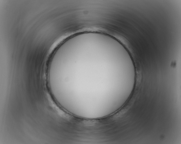 X0000113221046200910081336