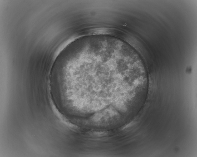 X0000113221047200910081336