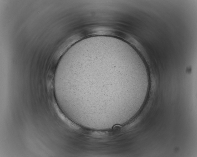 X0000113221049200910081336