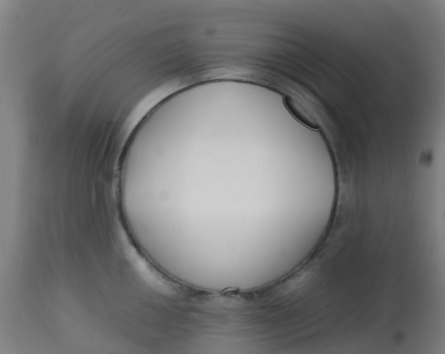 X0000113221050200910081336