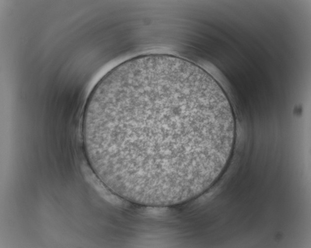 X0000113221052200910081336