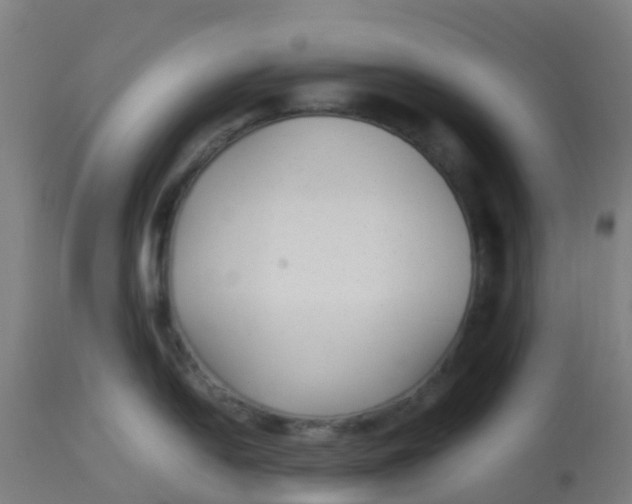 X0000113221054200910081336