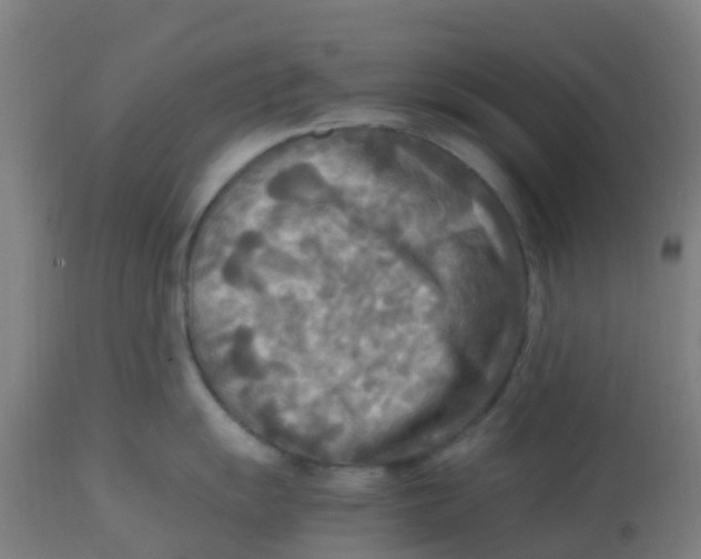 X0000113221055200910081336