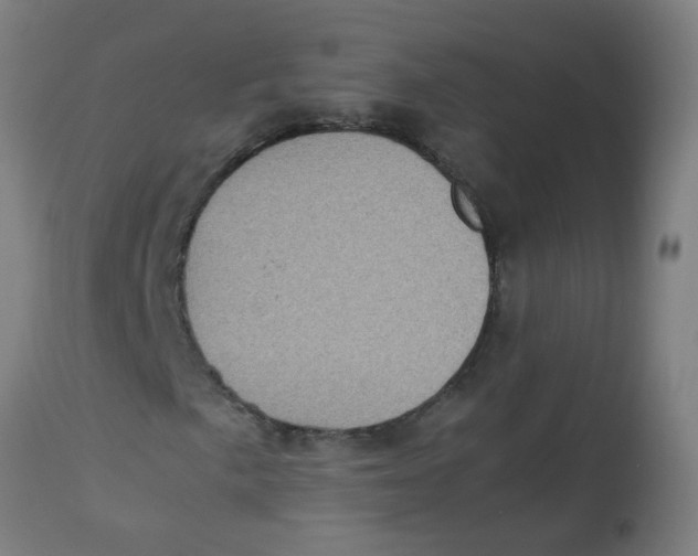 X0000113221057200910081336
