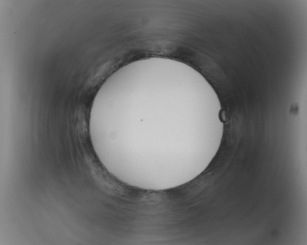 X0000113221058200910081336