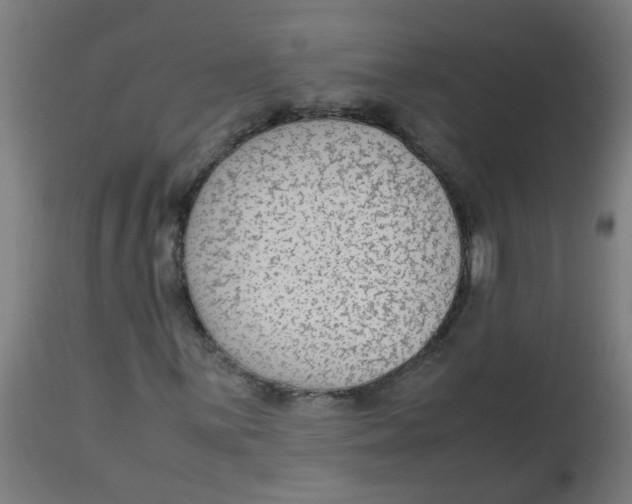 X0000113221059200910081336