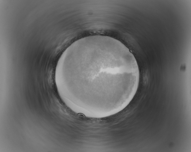 X0000113221060200910081336