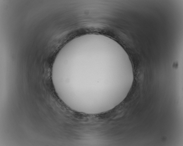 X0000113221061200910081336