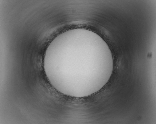 X0000113221062200910081336