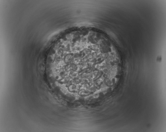 X0000113221063200910081336