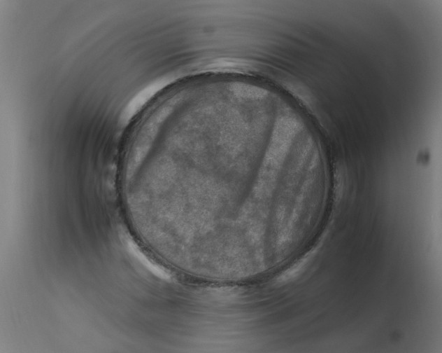 X0000113221066200910081336