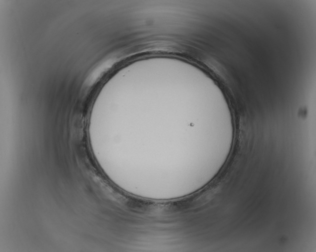 X0000113221067200910081336