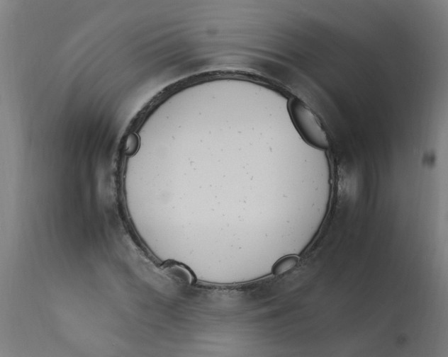 X0000113221068200910081336