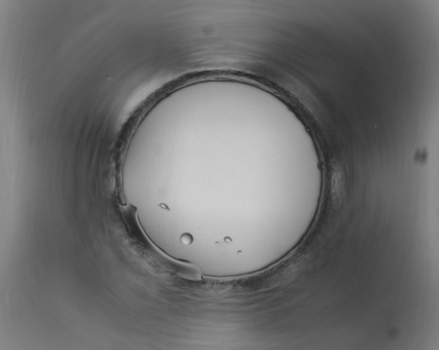 X0000113221069200910081336