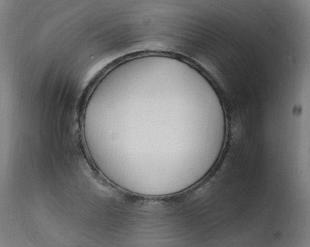 X0000113221070200910081336