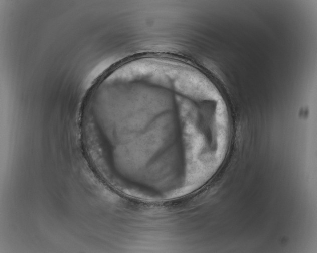 X0000113221071200910081336