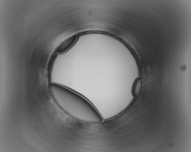 X0000113221072200910081336