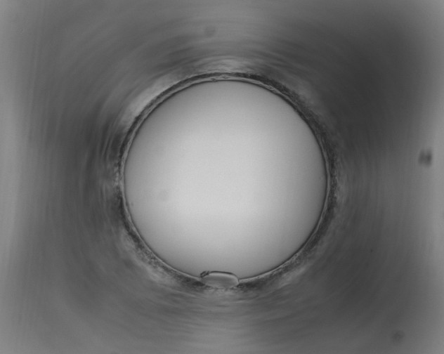 X0000113221073200910081336
