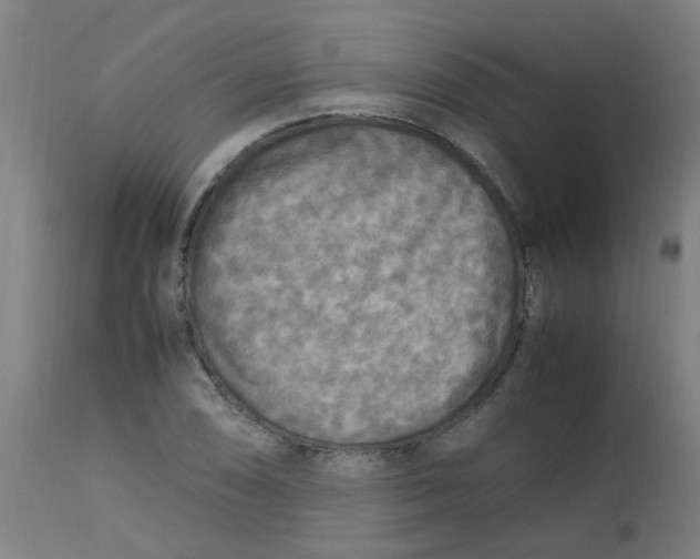 X0000113221074200910081336