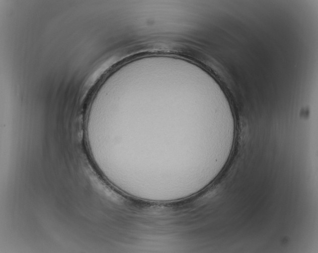 X0000113221075200910081336