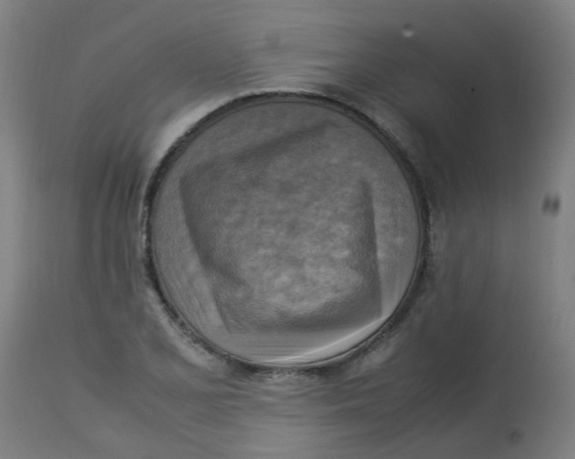 X0000113221077200910081336