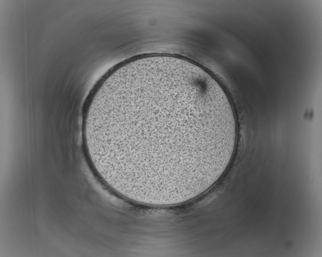 X0000113221079200910081335