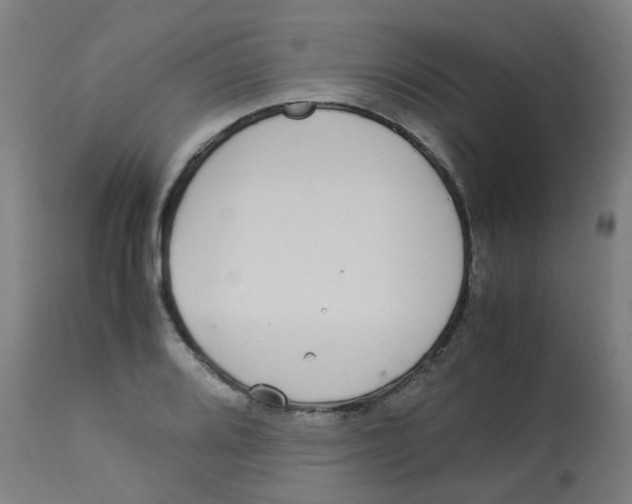 X0000113221080200910081335