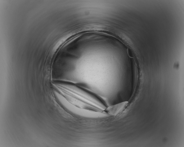 X0000113221081200910081335