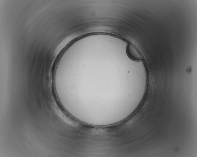 X0000113221082200910081335
