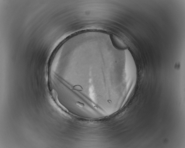 X0000113221084200910081335