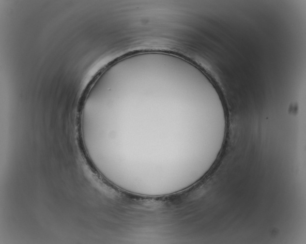 X0000113221085200910081335