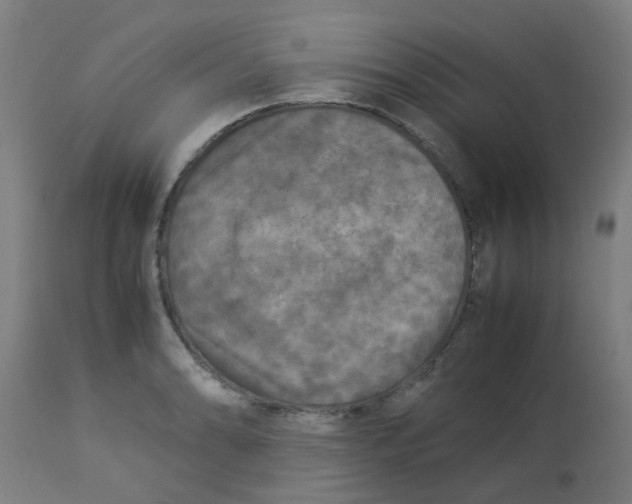 X0000113221086200910081335