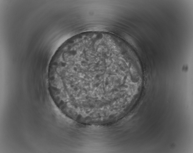 X0000113221087200910081335