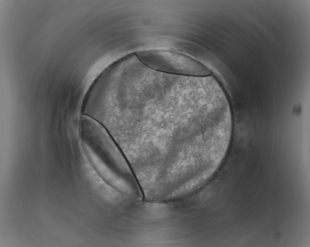X0000113221088200910081335