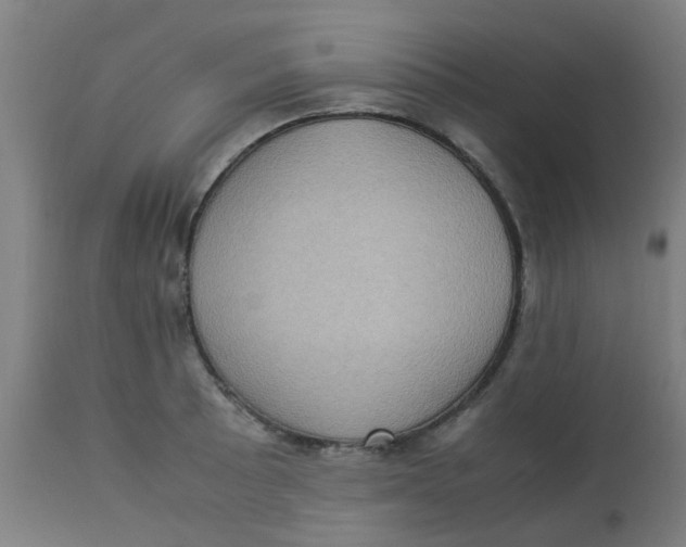 X0000113221089200910081335